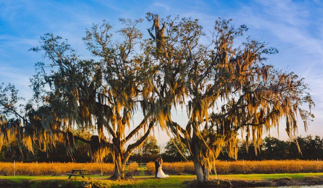 Hero Slideshow Image 1