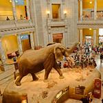 Smithsonian National Museum of Natural History