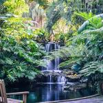 Selby Botanical Gardens