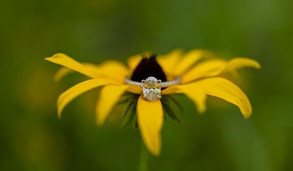 The Wedding Website of Jacob Ovanic and Amanda Sommer