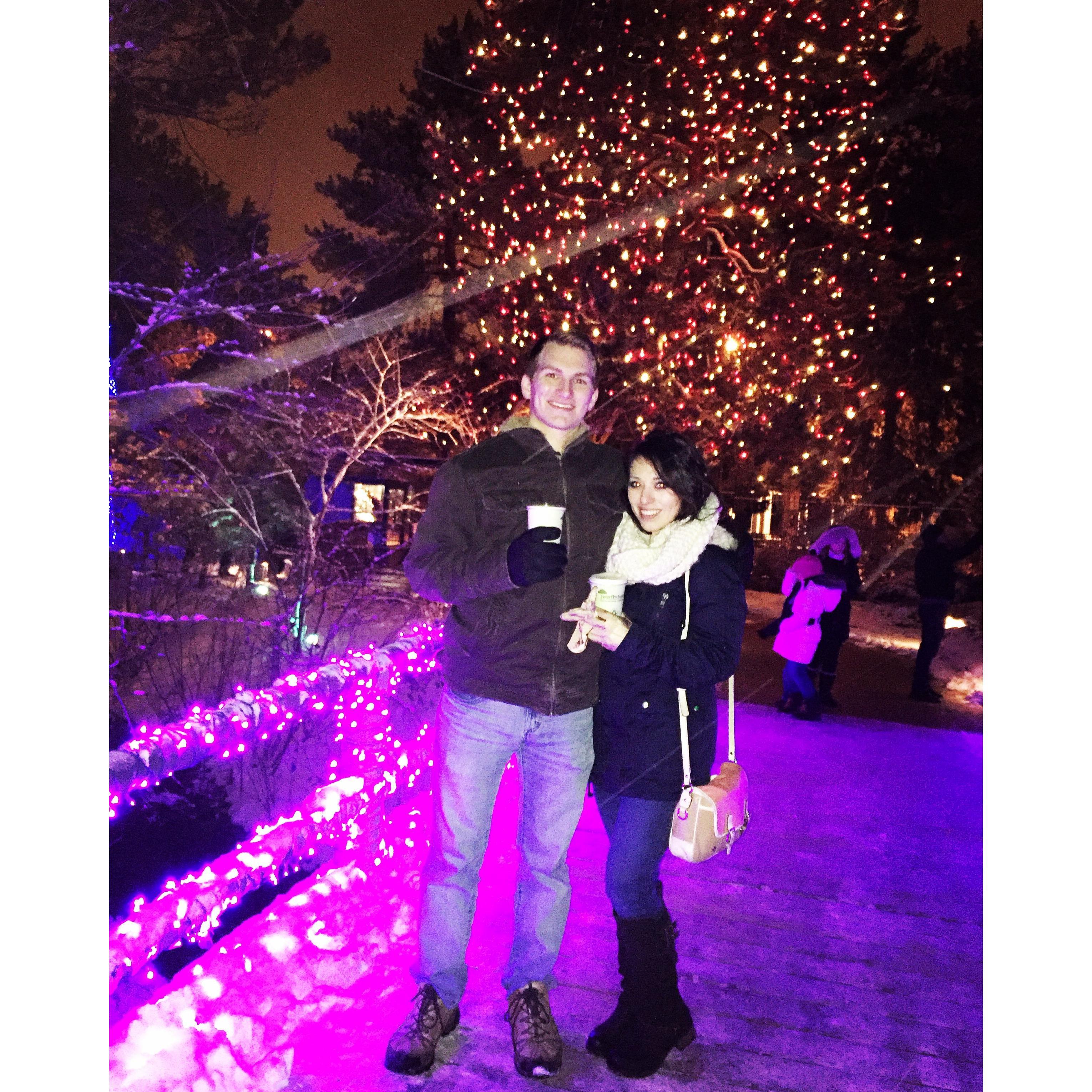 Botanical Garden Christmas festival
Denver 2015