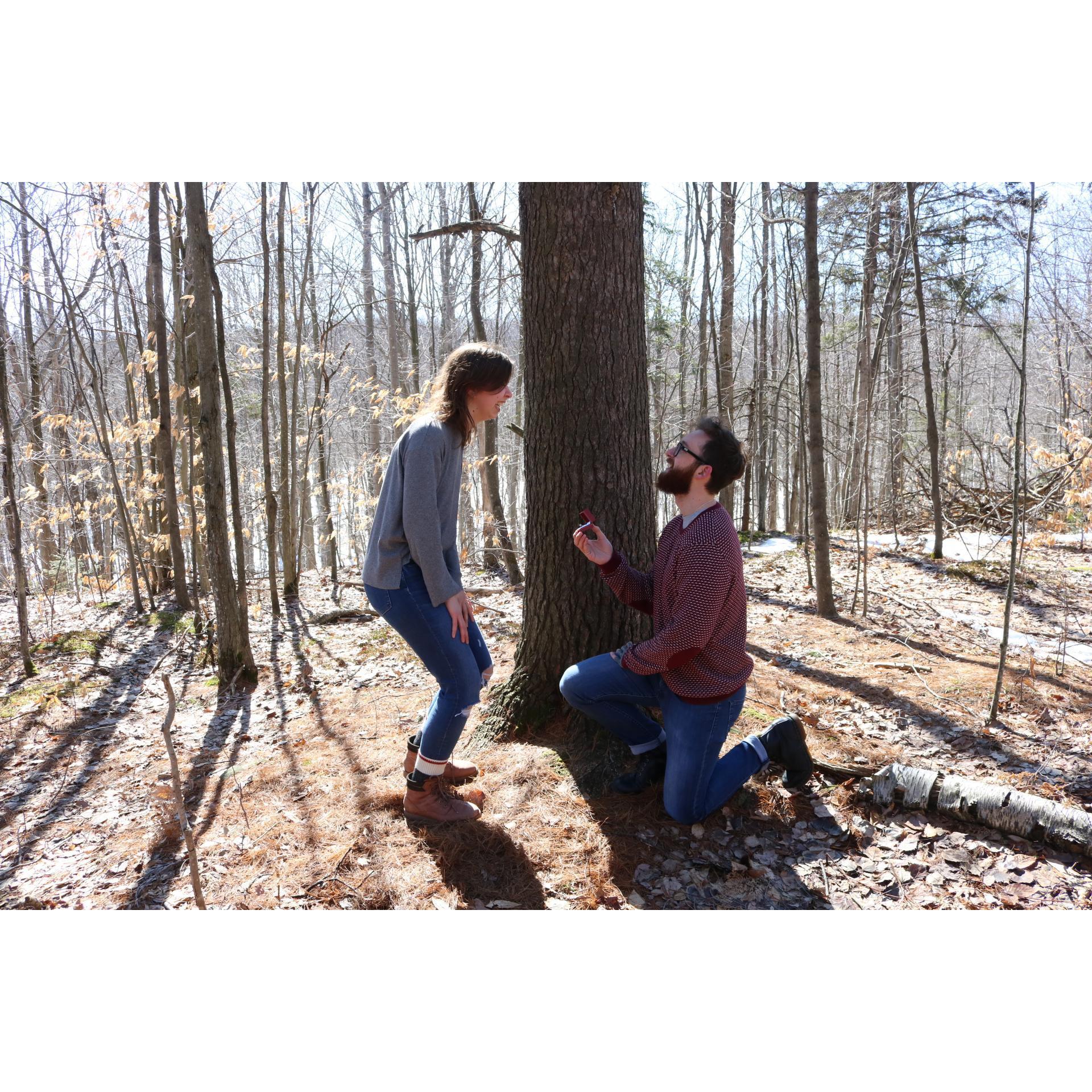 Mitch gets down on one knee!