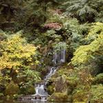 Portland Japanese Garden