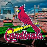 See a Saint Louis, Cardinals Game!