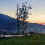 The Cottage Vineyard & Winery