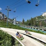 Mountain Coaster