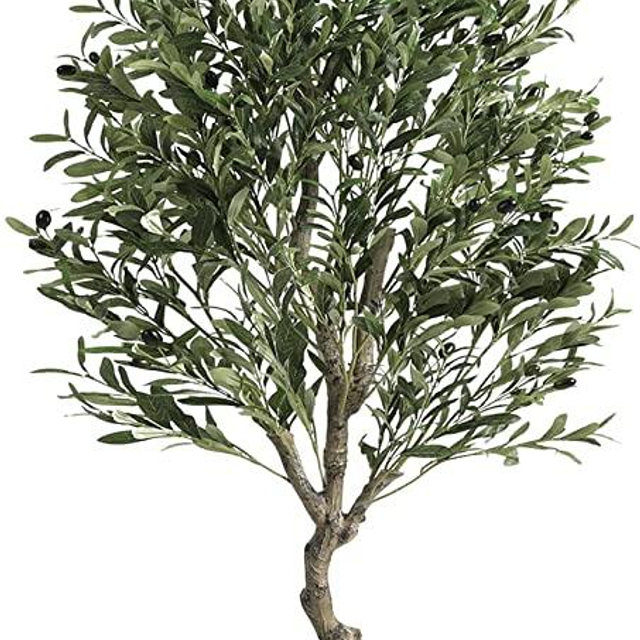 VIAGDO Olive Tree Artificial Indoor 6.23ft Tall Fake Potted Olive Silk Tree with Planter Large Faux Olive Branches and Fruits Artificial Tree for Home Office Living Room Decor Indoor, 1728 Leaves