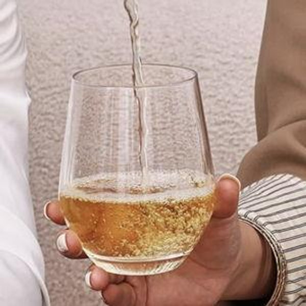 OJA Stemless Wine Glasses Set of 6, 15oz Premium Crystal Red White Wine Glasses, No Stem, Clear,Sturdy Drinking Glass for Daily Use, Birthday, Wedding, Home Party, Anniversary, Shower Gift