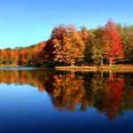 Lake Harmony