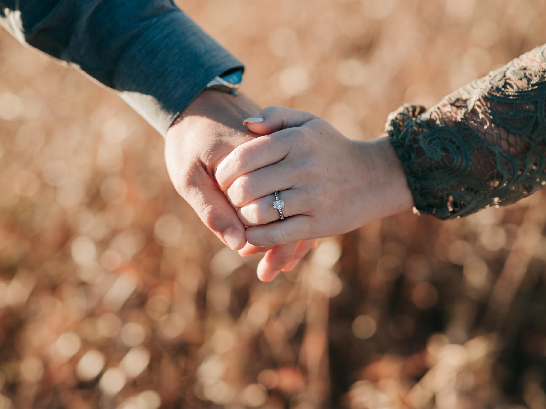 The Wedding Website of Delayna Steadman and Michael Pozeg