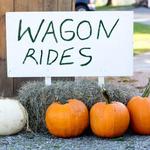 10 Things to Do in Vermont