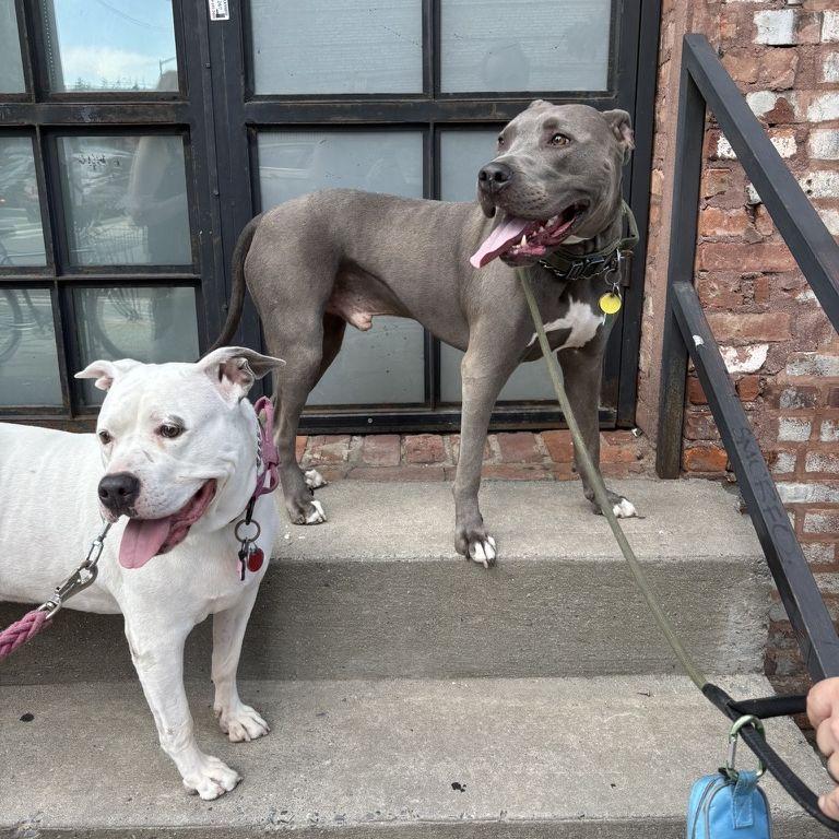 Tokyo and Leeloo will be joining us for the ceremony