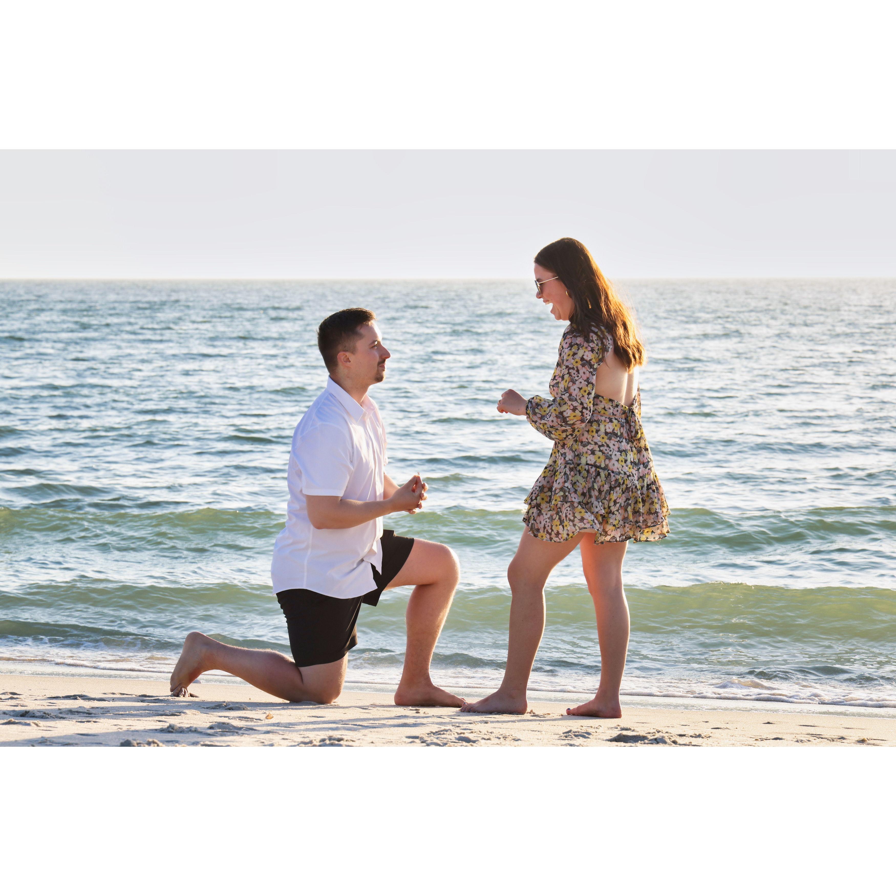 Tylar planned a perfect proposal, he even had a photographer hidden on the beach with a beautiful bouquet of flowers