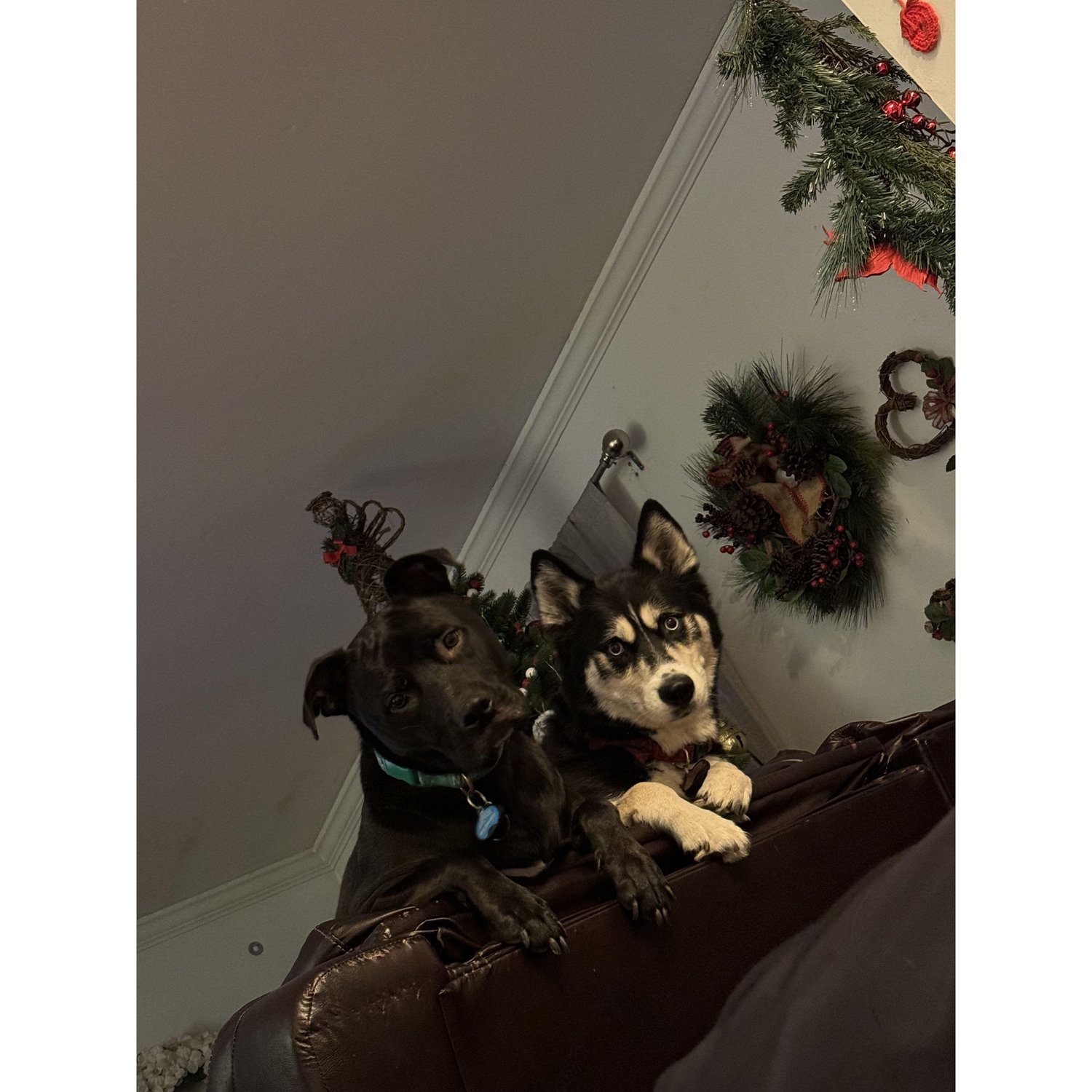 Archie and Paris