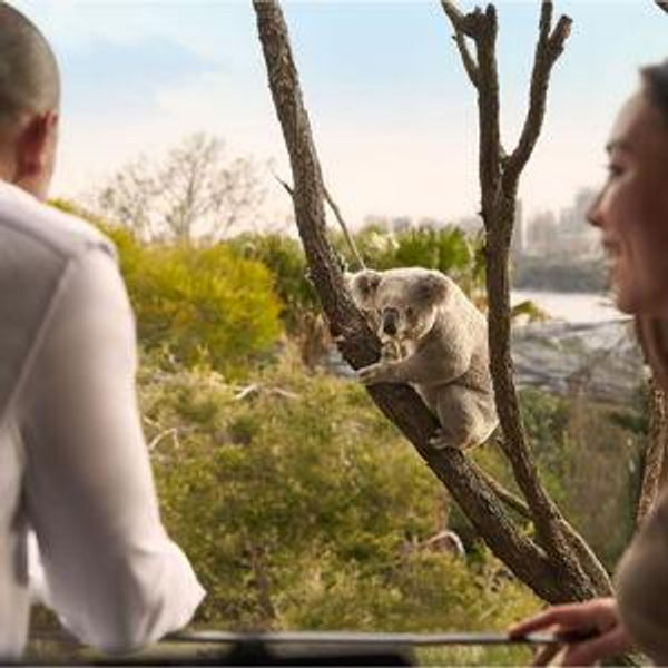 Honeymoon: Stay at Taronga Wildlife Retreat