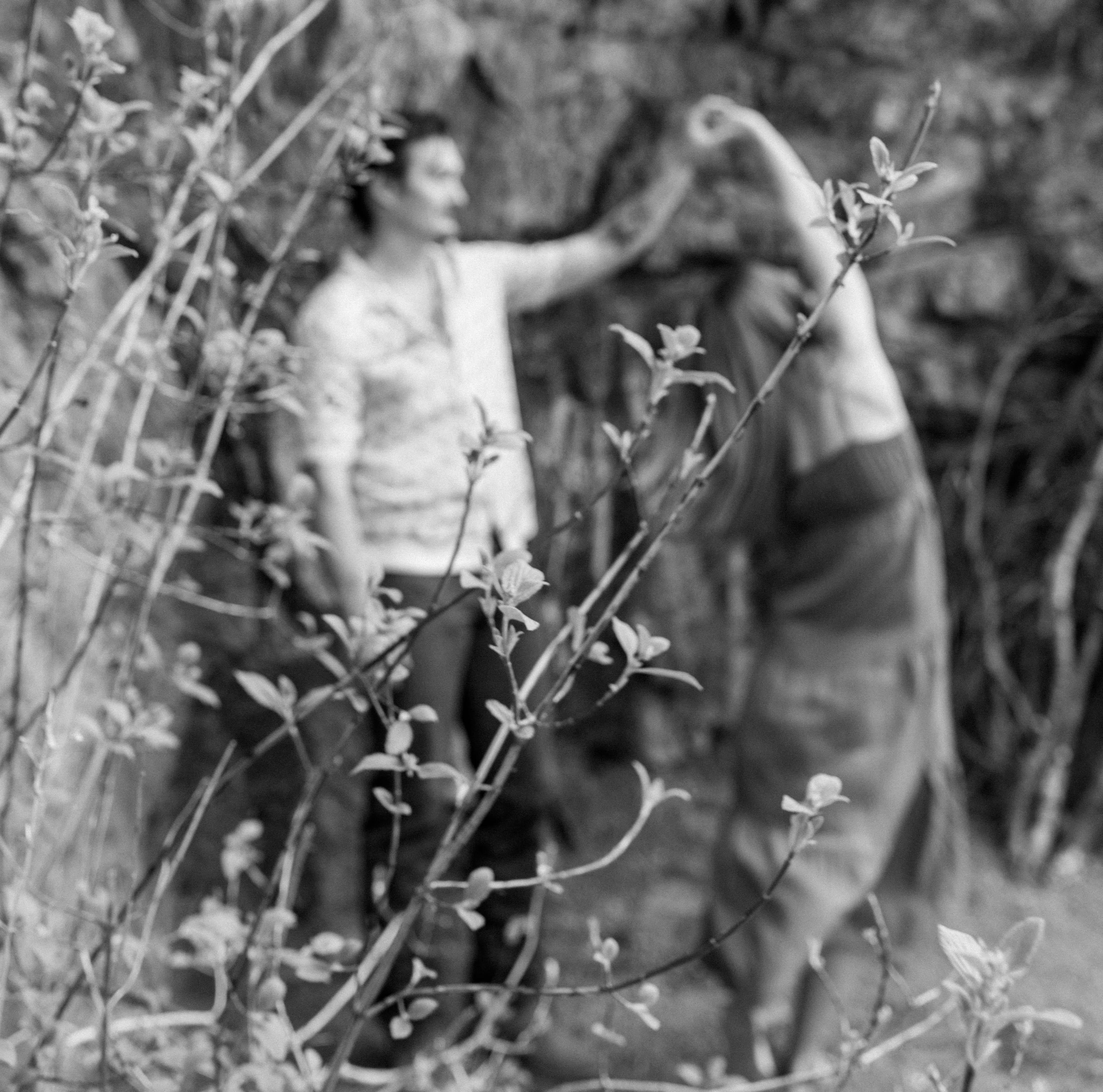 The Wedding Website of Teresa Constantino and Dillon Marshall