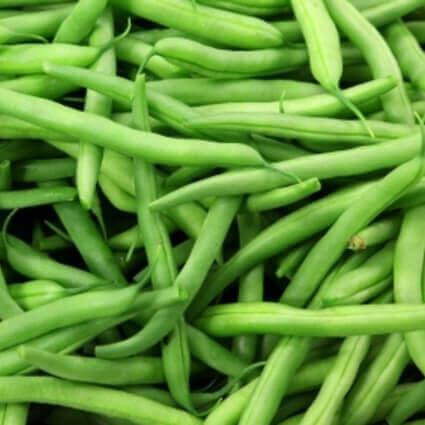 Green Bush Beans Seed Collection