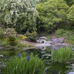 University of California Botanical Garden