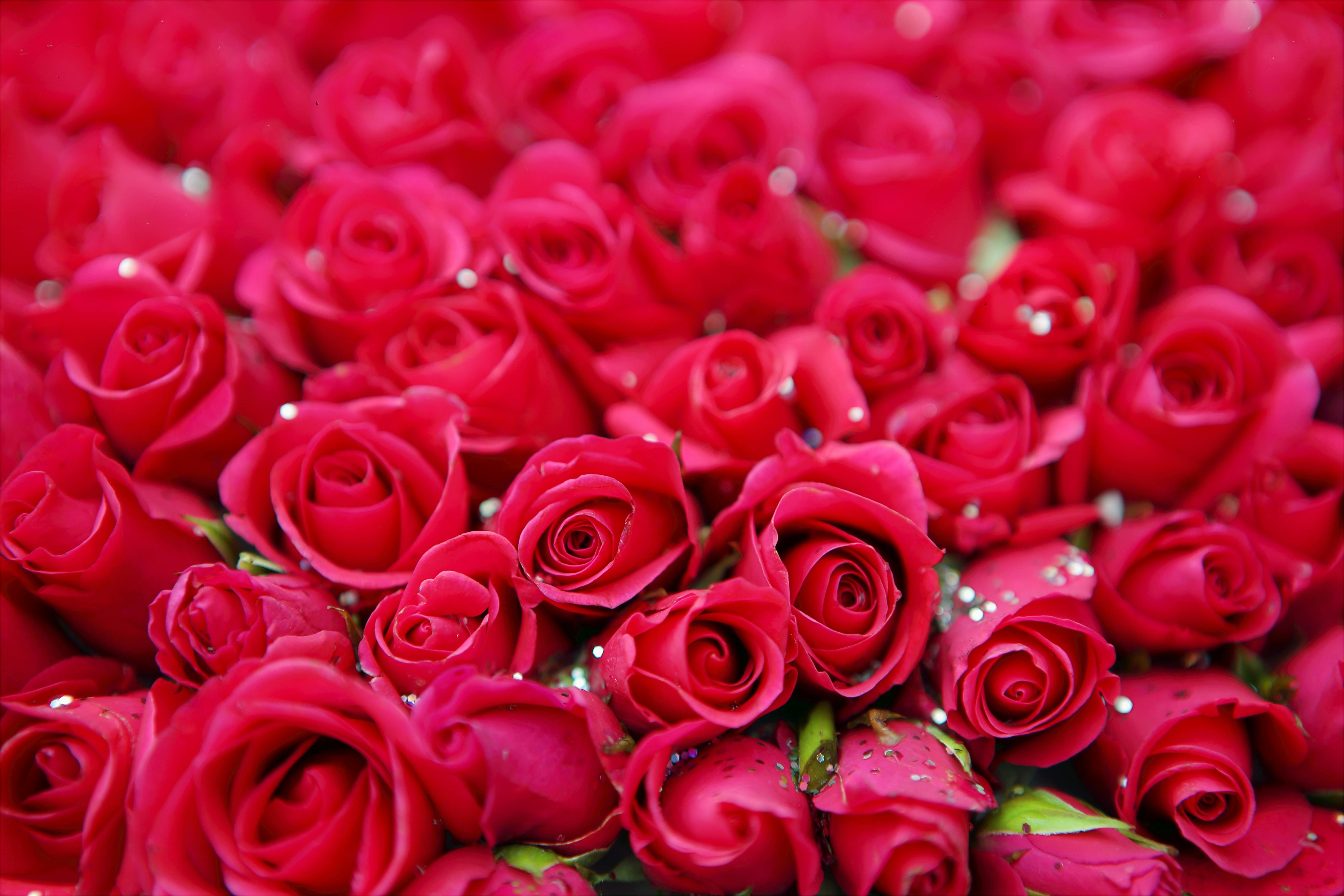 The Wedding Website of Charalampos Mitsios and Konstantina Angelakou