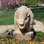 Stony Point Botanical Gardens