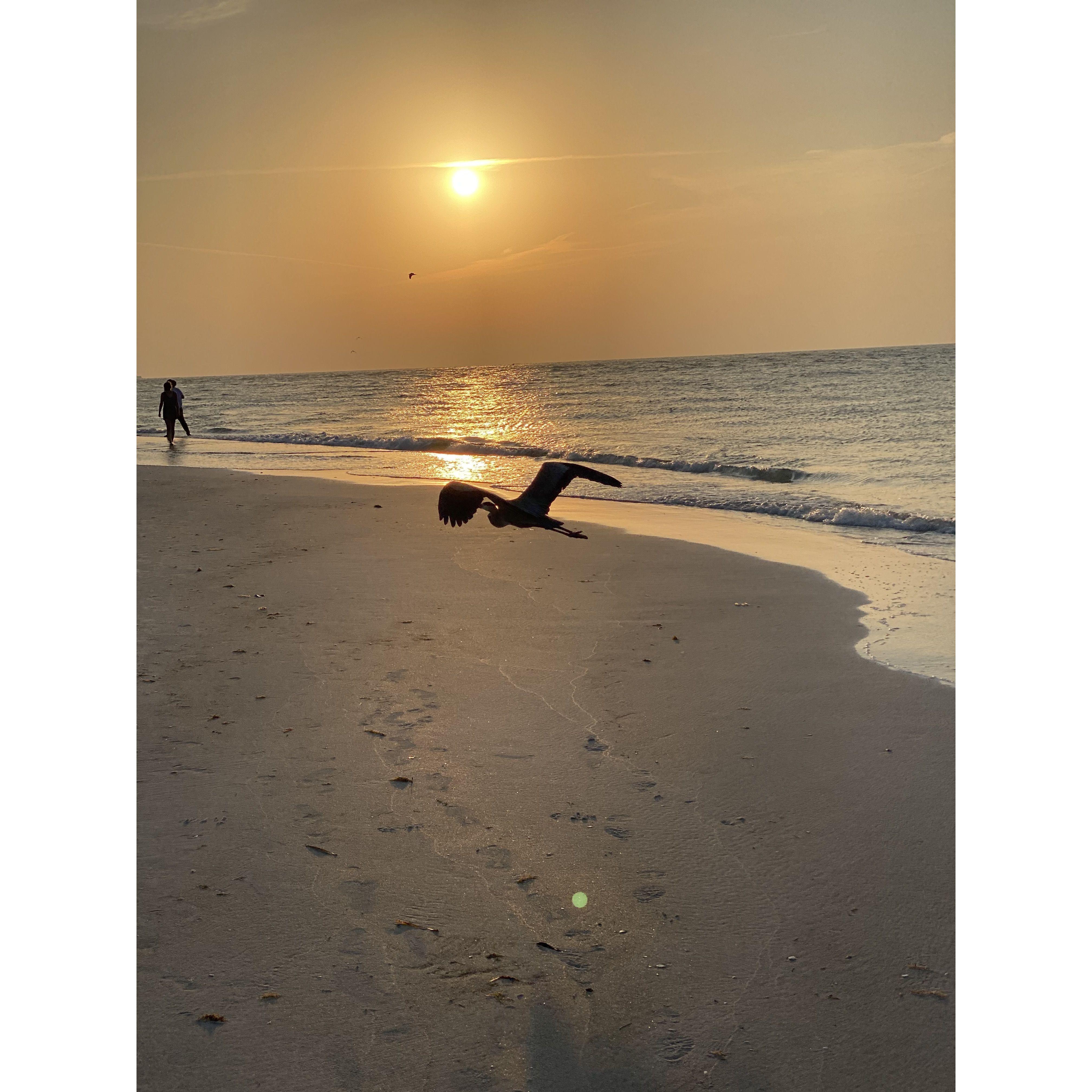 Our first AMI Sunset