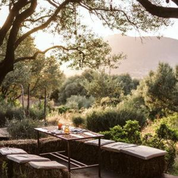 Dinner in Sardinia