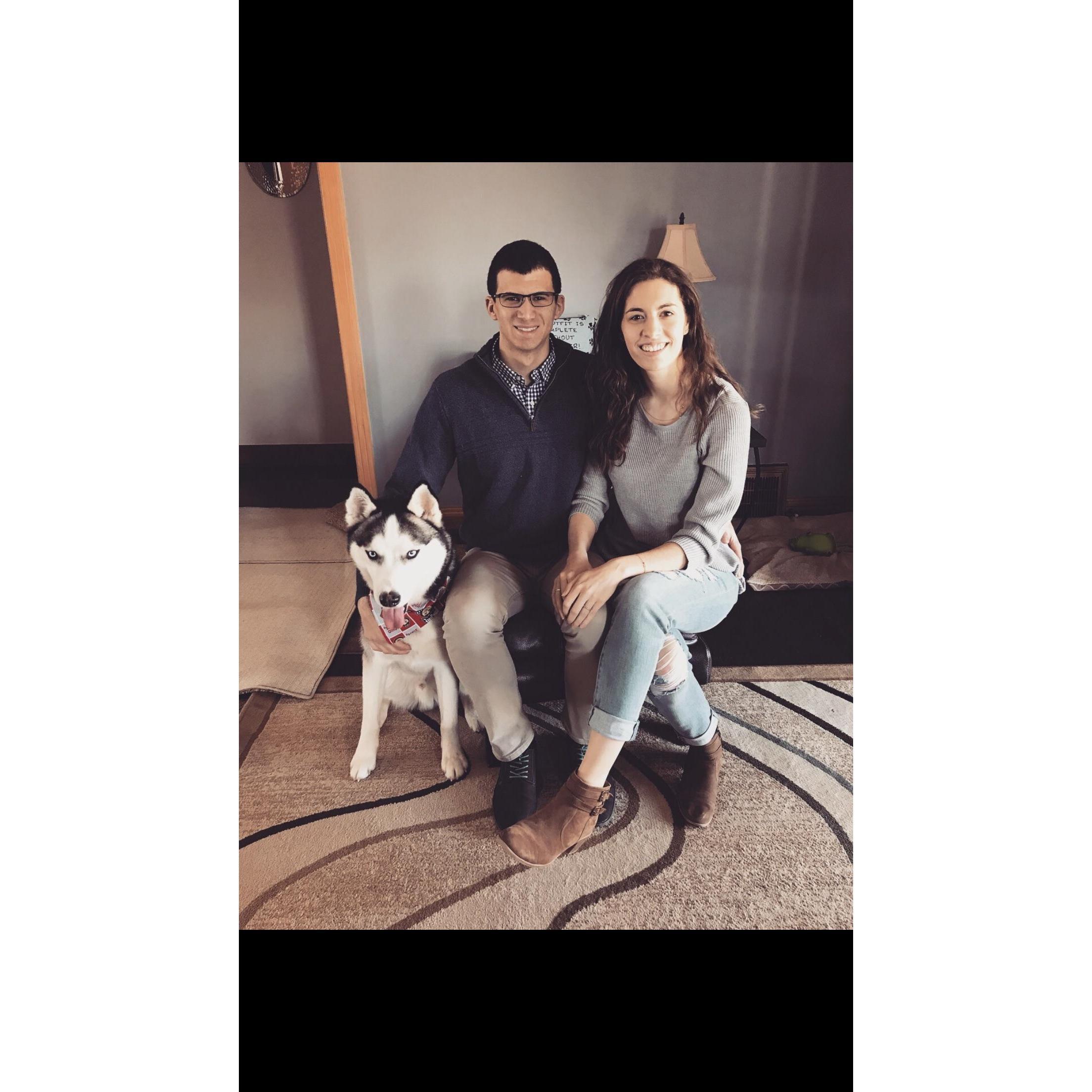 First (of many) Dogs - 2017