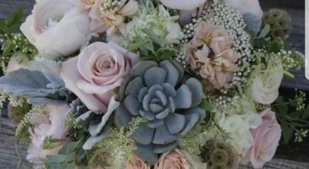 The Wedding Website of Bayley Hooper and Tyler Gonzales