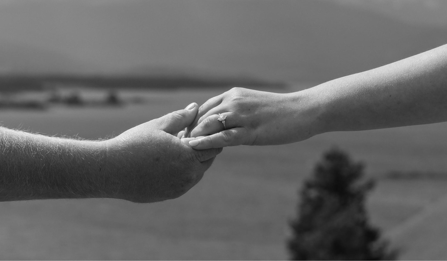 The Wedding Website of Abbey Craver and Jake Boles
