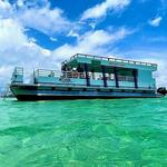 Crab Island Dolphin Tours