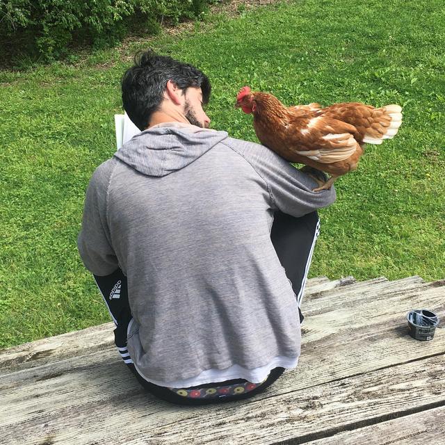 Fence Fund-Help keep our chickens safe and our porches clean! :)