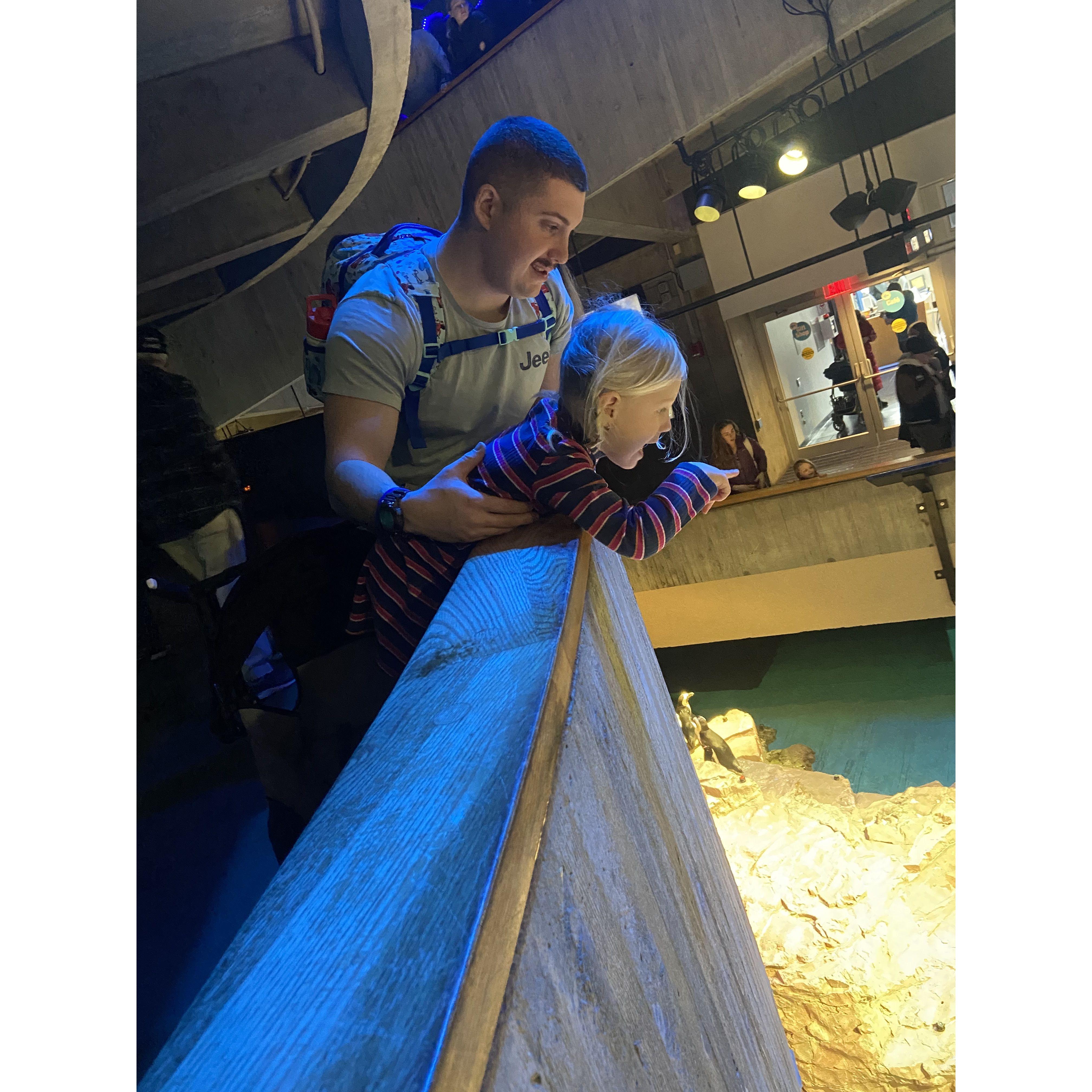 Aquarium