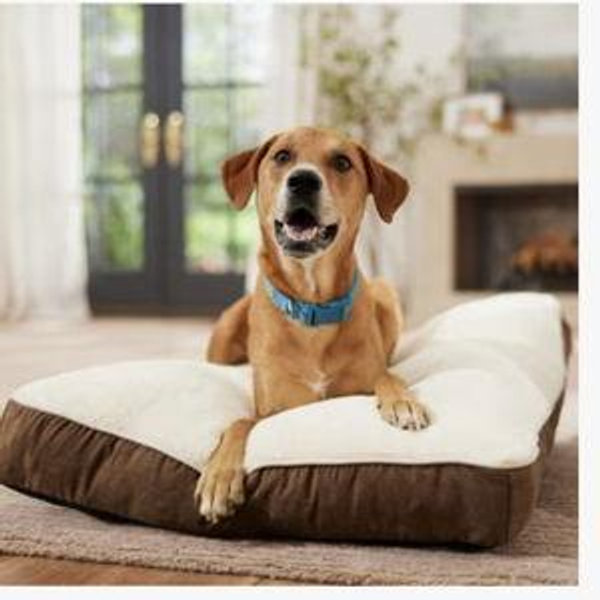 Frisco Faux Suede Pillow Dog Bed with Removable Cover, Brown, X-Large