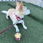 Downtown Culver City