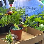Staunton Farmers' Market
