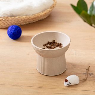 Albie Fluted Cat Dish, Set of 2