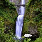 Multnomah Falls