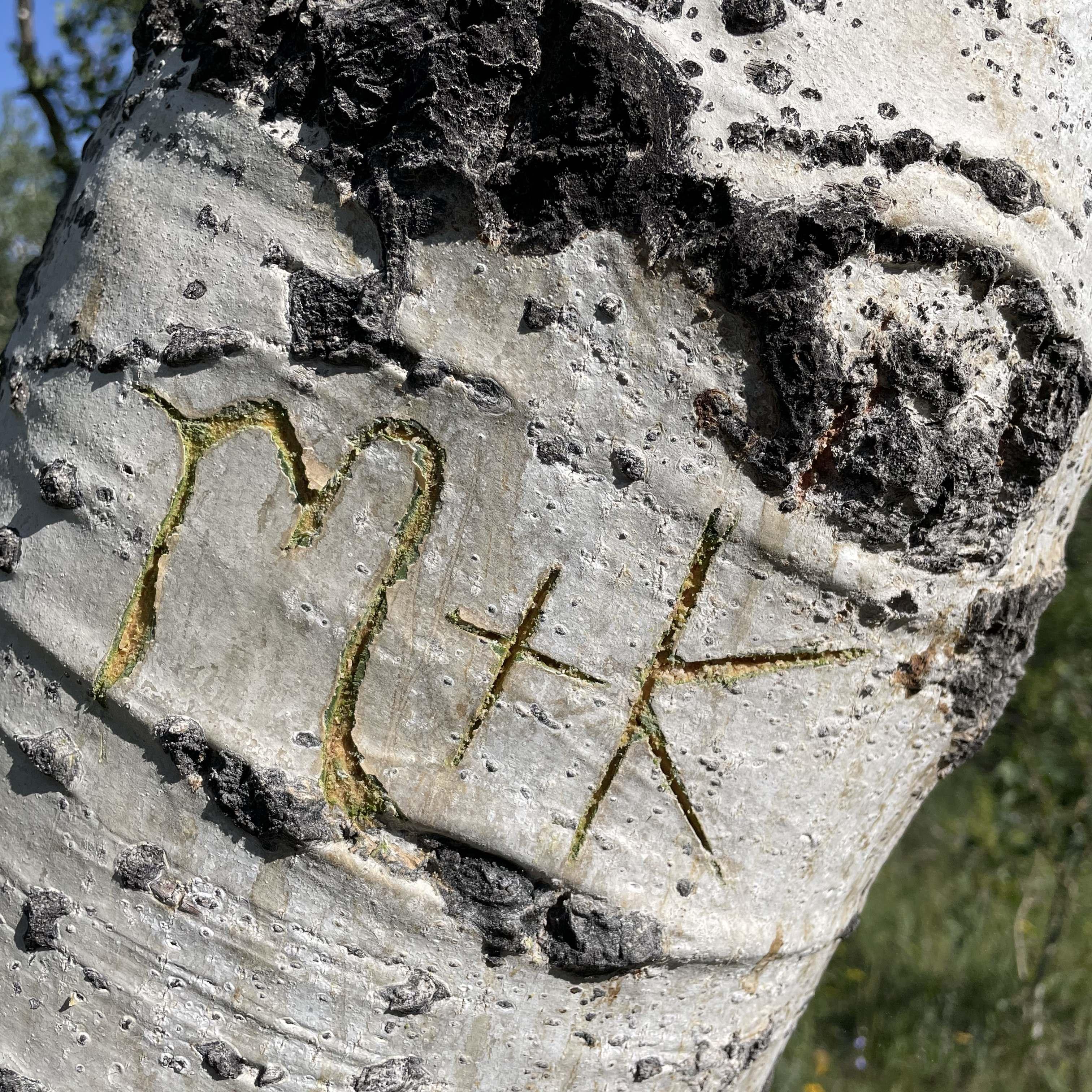 Curt Gowdy making our mark