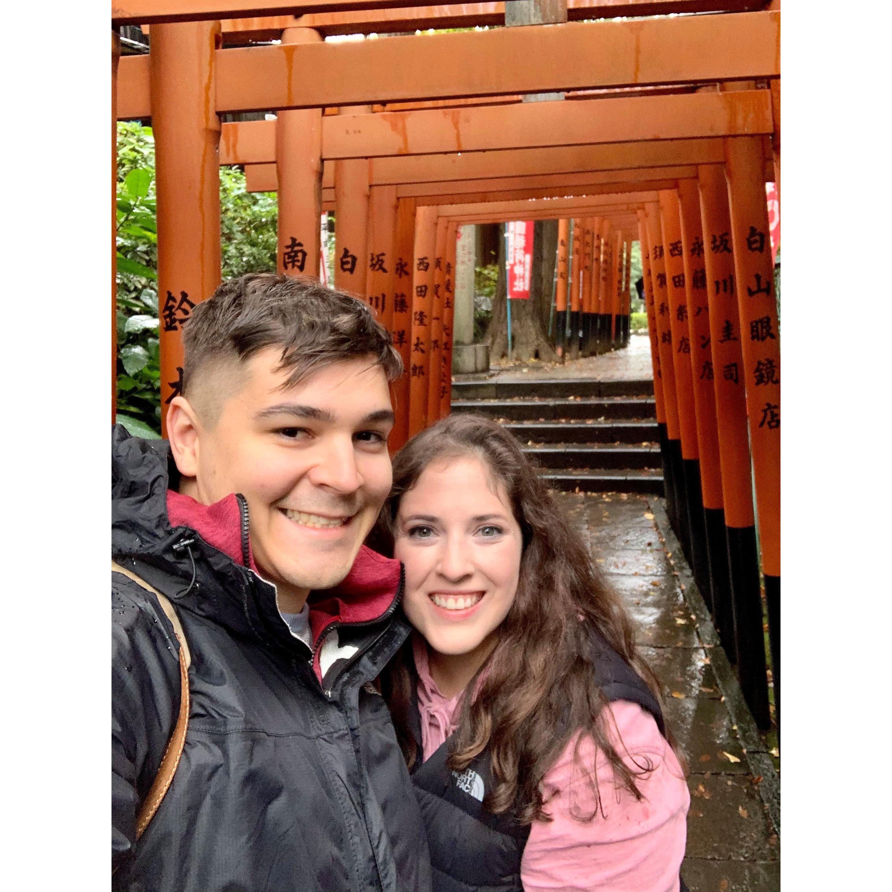 Exploring Torii gates in Tokyo