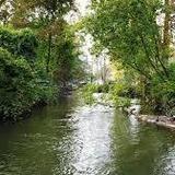 Gladwin City Park