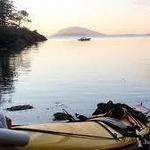 Kayak Tours