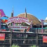 Gator Beach - The World's Greatest Alligator Park