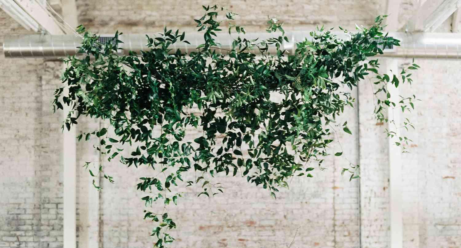 The Wedding Website of pamela perez and christian johnson