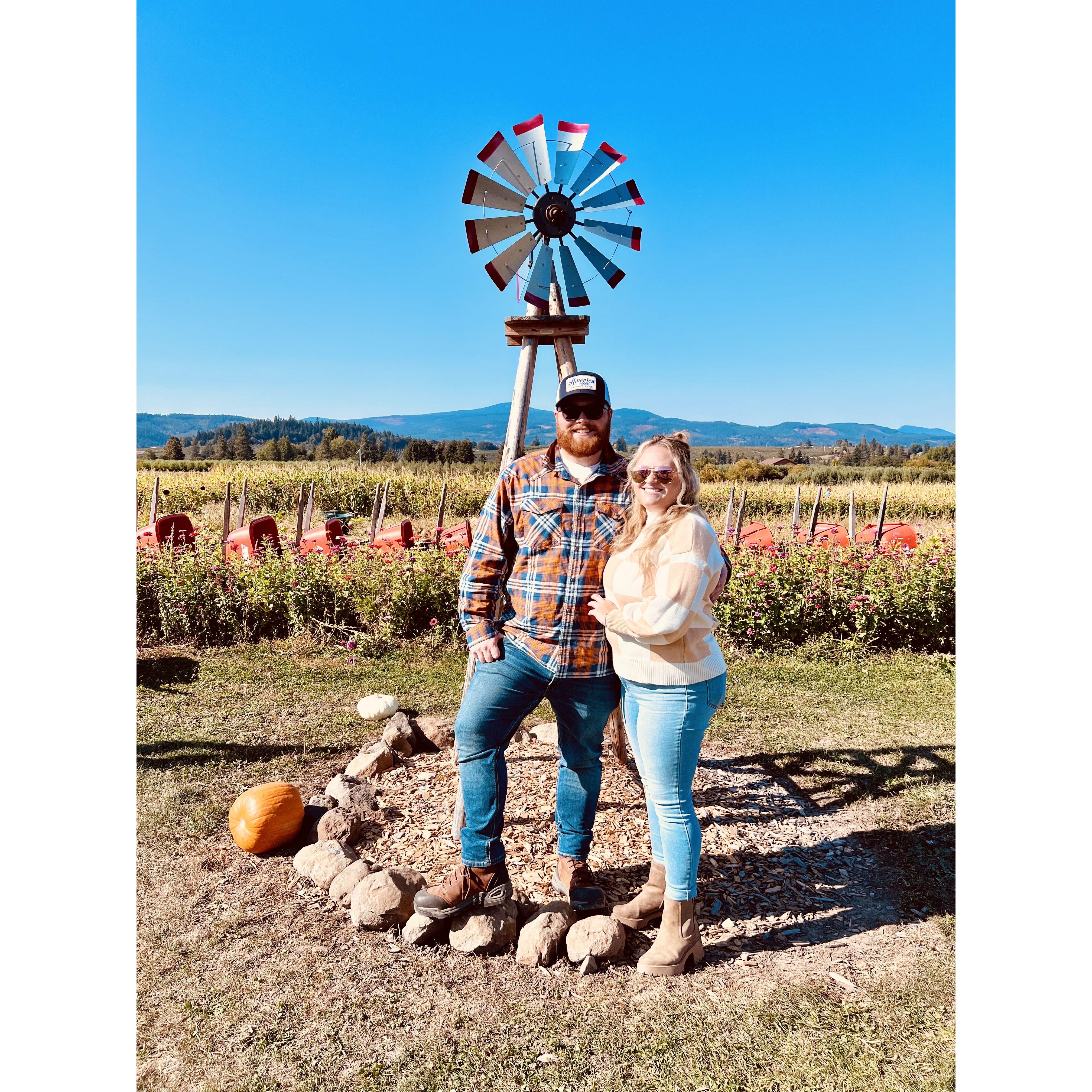 Pumpkin patch
