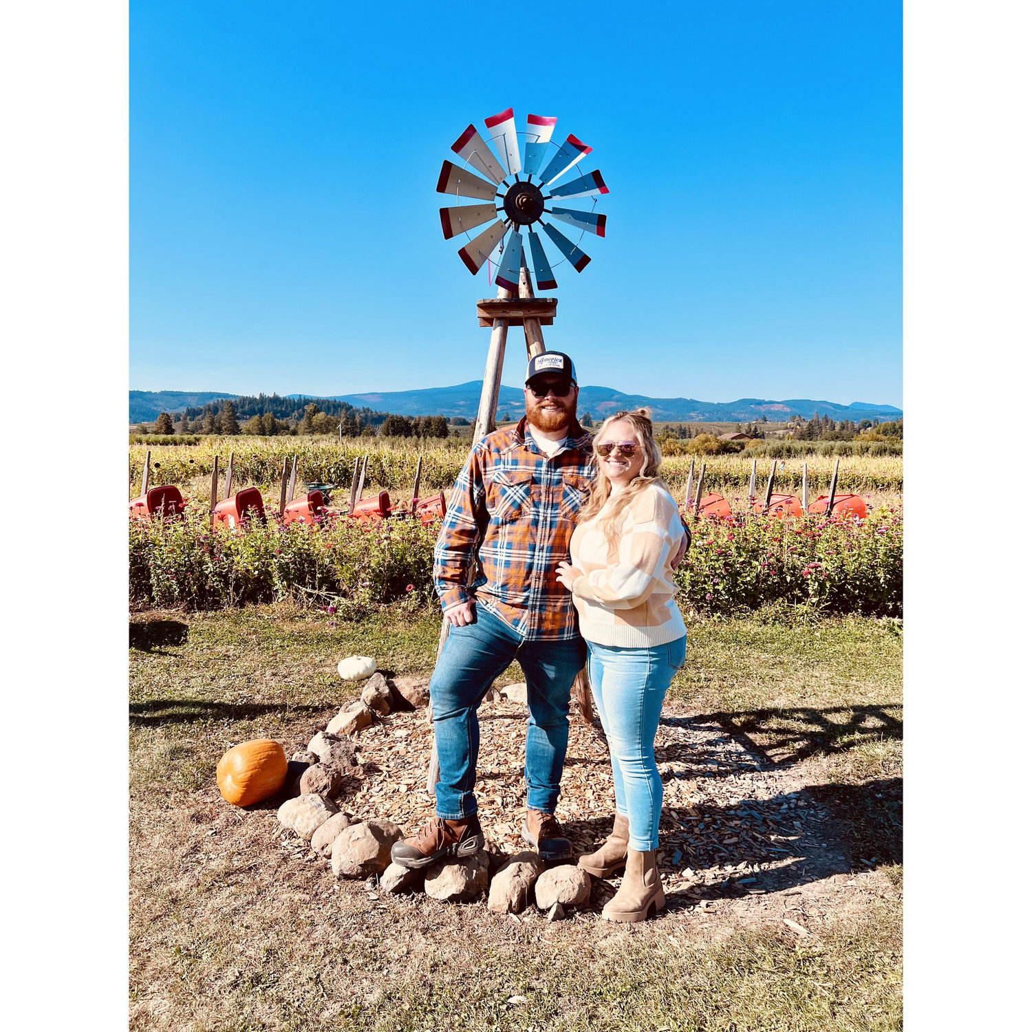Pumpkin patch