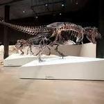 North Carolina Museum of Natural Sciences