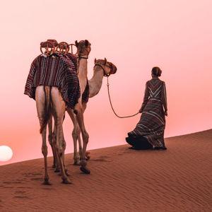 Dubai Desert Tour