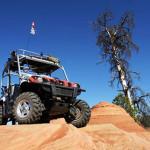 MILD TO WILD RHINO TOURS