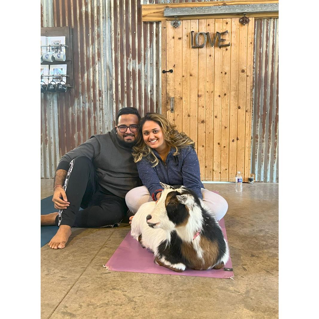 Turns out, goats and yoga are the ultimate stress relief combo!