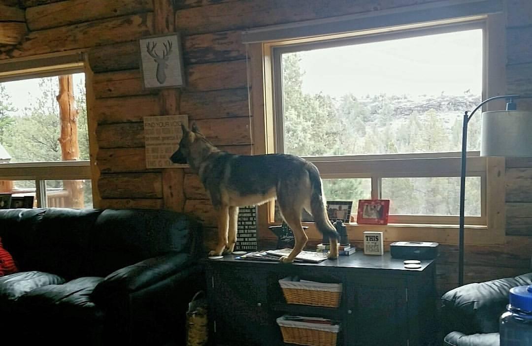Wyatt's hangout.